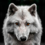 Zen Art & Design Small Puzzle 3