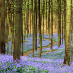 Zen Art & Design Small Puzzle 4