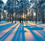 Zen Art & Design Small Puzzle 5