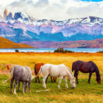 Zen Art & Design Small Puzzle 6