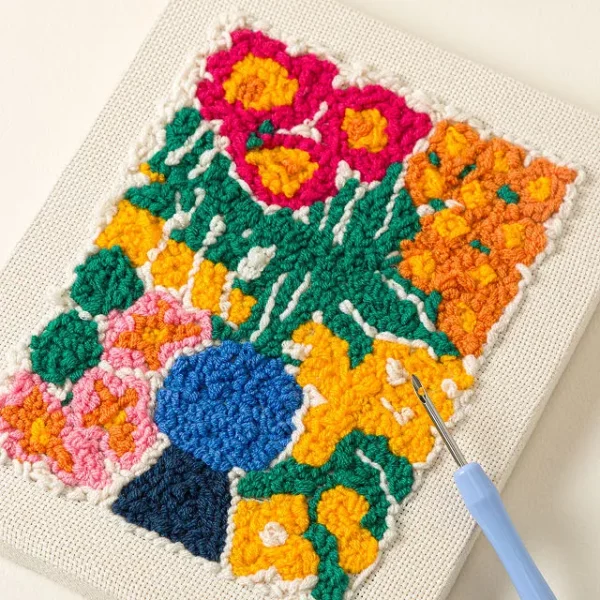 Beginners Punch Needle Art Canvas Kit 1