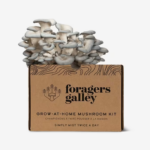 Blue Oyster Mushroom Grow Kit