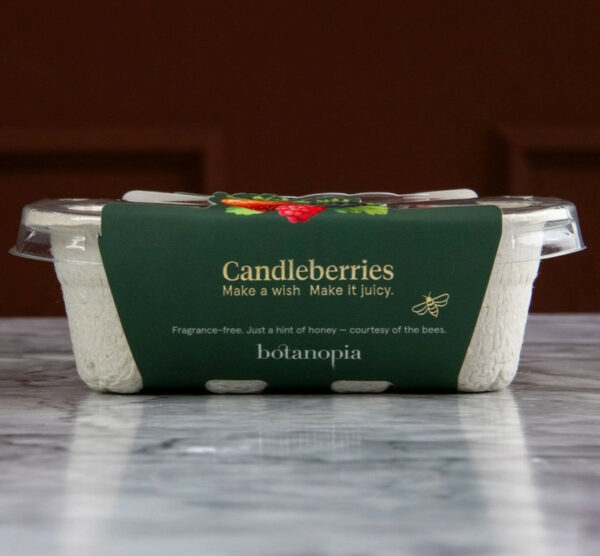 Candleberries 6