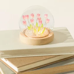 Create Your Own Everlasting Tulip Field Light