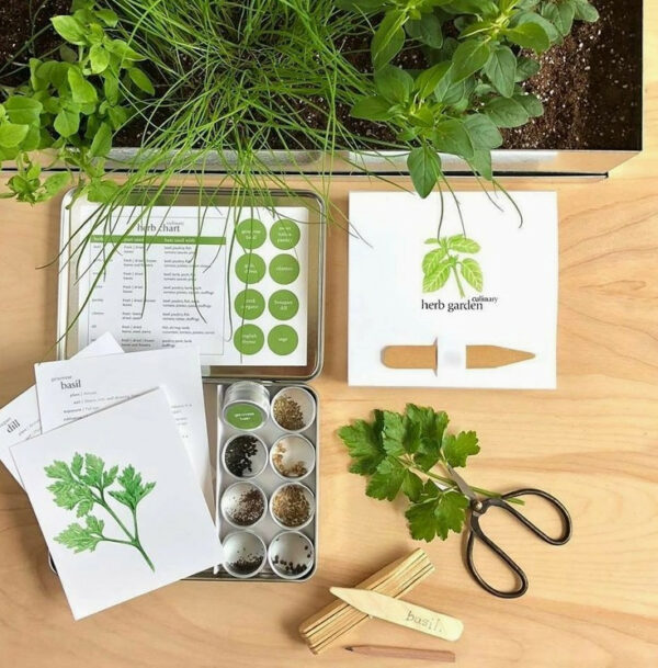 Culinary Herbs Garden Maker Tin 2
