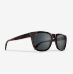 Daytripper Sunglasses 1
