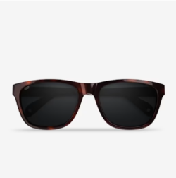Daytripper Sunglasses