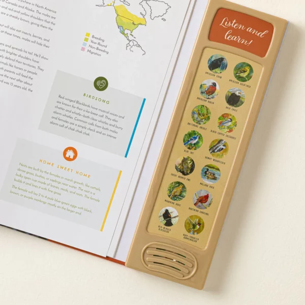 Hear Them Sing Kids Book Of North American Birds 3