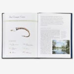 History Of Fly Fishing In Fifty Flies 3