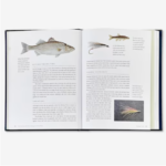 History Of Fly Fishing In Fifty Flies 4