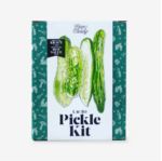 Lacto Pickle Kit 2