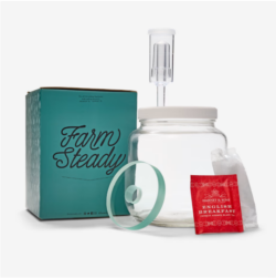 Lacto Pickle Kit