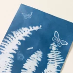Layer With Nature Sun Print Kit 1