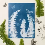 Layer With Nature Sun Print Kit