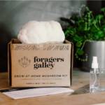 Lion's Mane Mushroom Grow Kit 1