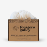 Lion's Mane Mushroom Grow Kit