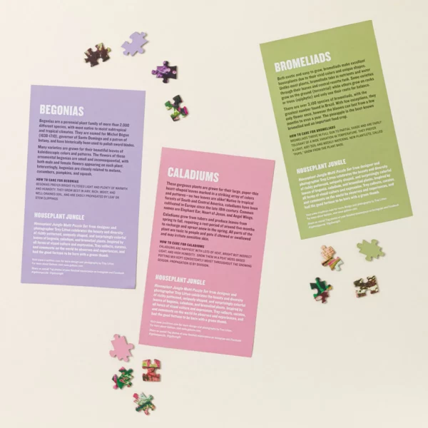 Plant Pattern Puzzle Challenge 2