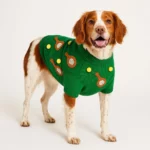Playful Paws Sporty Pet Sweater 2