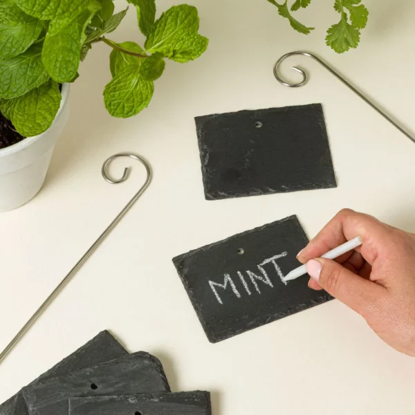 Reusable Slate Plant Labels - Set Of 10 1