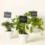Reusable Slate Plant Labels - Set Of 10