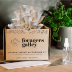 Snow Oyster Mushroom Grow Kit 1
