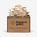 Snow Oyster Mushroom Grow Kit