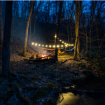 Solar String Lights 18' 3