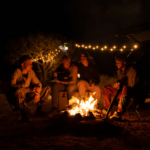 Solar String Lights 44' 2