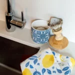 Sunny Citrus Dish Soap & Towel Set 2