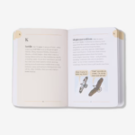 The Birding Dictionary 1