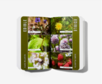 The Bushcraft Field Guide To Trapping – Gathering – & Cooking In The Wild 2