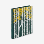 The Hidden Life Of Trees 12
