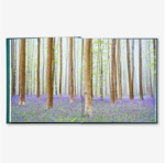 The Hidden Life Of Trees 14