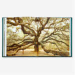 The Hidden Life Of Trees 15