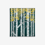 The Hidden Life Of Trees