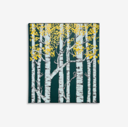 The Hidden Life Of Trees