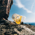 The Pacific Northwest Outdoor Cup Set 2