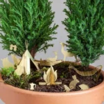 Tiny Camping For Your Plants