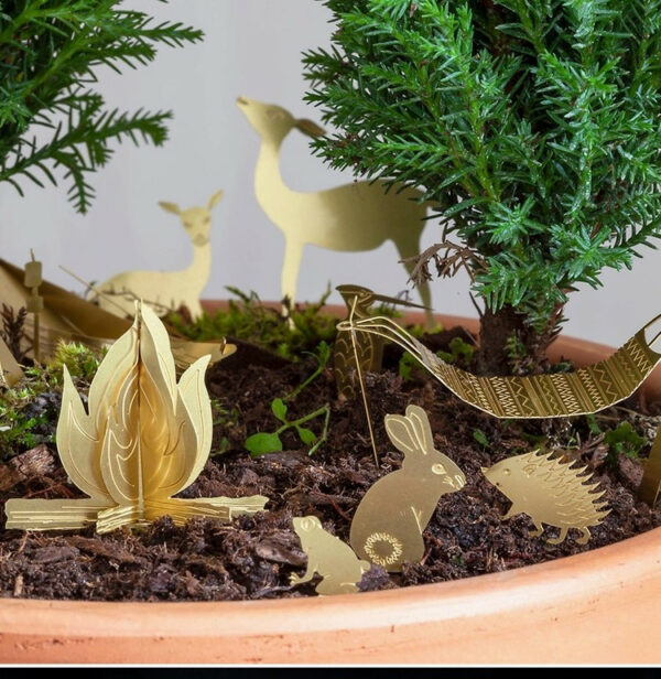 Tiny Camping For Your Plants 4