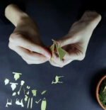 Tiny Camping For Your Plants 6