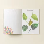 Unplug & Learn To Draw Plants In 30 Days 2