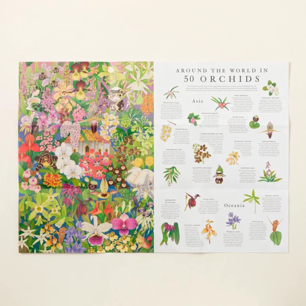 Around The World In 50 Orchids Puzzle 1