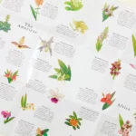 Around The World In 50 Orchids Puzzle 2