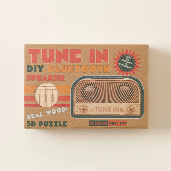 Build Your Own Retro Bluetooth Speaker 3