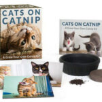 Cats On Catnip Mini Kit