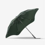 Classic Umbrella (2)