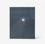 Coffee Table Stash Book (8)