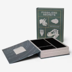 Coffee Table Stash Book Duo (5)