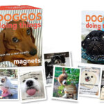 Doggos Doing Things Mini Magnet Kit