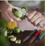 Essential Small Kitchen Knife Set (8)